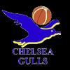 https://img.heibaitiyuy.com.cn/img/basketball/team/0d36b73786230e17d7d718ab10adab87.png