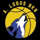 https://img.heibaitiyuy.com.cn/img/basketball/team/0eba9badddcf6b9b849d8d399b9e7909.png