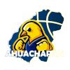 https://img.heibaitiyuy.com.cn/img/basketball/team/89d85817ad6d97343a47ed49e8572217.png