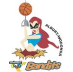 https://img.heibaitiyuy.com.cn/img/basketball/team/94924f5dc023c67962792990c924e9ec.png
