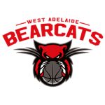 https://img.heibaitiyuy.com.cn/img/basketball/team/9d7b20160e5dbf48e6fb198fbd4fab5f.png