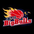 https://img.heibaitiyuy.com.cn/img/basketball/team/bcb478f91fa9177647848bc08ccc209c.png