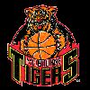 https://img.heibaitiyuy.com.cn/img/basketball/team/c396165af2b9468b95db1864473952bb.png