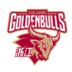 https://img.heibaitiyuy.com.cn/img/basketball/team/d1d77f07287fe840a7e77459e5bd1bfc.png