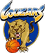https://img.heibaitiyuy.com.cn/img/basketball/team/dfbc8a7d044c44b6986f4490a735959b.gif
