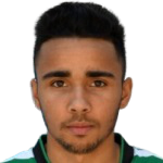 https://img.heibaitiyuy.com.cn/img/football/player/0c51bdf5baed27a613ee709dc196ce7f.png