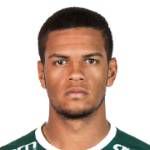 https://img.heibaitiyuy.com.cn/img/football/player/1495e63fc811824f02fd7fba9d254b1f.png