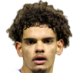 https://img.heibaitiyuy.com.cn/img/football/player/19198e45f81a0add4651fdb6197a3d8c.png
