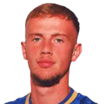 https://img.heibaitiyuy.com.cn/img/football/player/1ea502df31a0fd652a9f6c4223713521.png