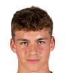 https://img.heibaitiyuy.com.cn/img/football/player/33703aacde33eed86b2e4752fd675d6e.png