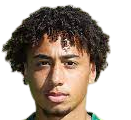 https://img.heibaitiyuy.com.cn/img/football/player/347a6d58ae7ec0425a4d42bc9215c411.png