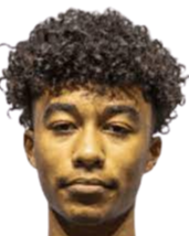 https://img.heibaitiyuy.com.cn/img/football/player/5e06fd0121b653ee6c572aa1294c5d4c.png