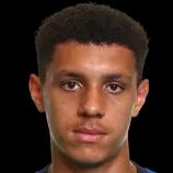 https://img.heibaitiyuy.com.cn/img/football/player/7146d0393153abfa110a1f8b9f9b4337.png