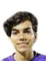 https://img.heibaitiyuy.com.cn/img/football/player/79c3a041737923f2795a82fbe6dd8fd1.png