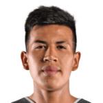https://img.heibaitiyuy.com.cn/img/football/player/8a740574d517dcc171061c09ef62f382.png