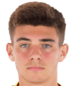 https://img.heibaitiyuy.com.cn/img/football/player/cdf460848e3a959d0508a953ed29dc0c.png