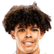 https://img.heibaitiyuy.com.cn/img/football/player/cfeb861dc96c0c8dbb4a8f98de1178eb.png