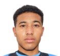 https://img.heibaitiyuy.com.cn/img/football/player/d7bc71cad19fb7019c0a27186d554ad5.png