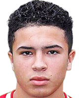 https://img.heibaitiyuy.com.cn/img/football/player/d95054a0e727f334463fc369b55f13a2.png