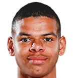 https://img.heibaitiyuy.com.cn/img/football/player/ddb62e89f30b23928fc1e94f52f98a33.png