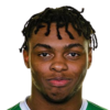 https://img.heibaitiyuy.com.cn/img/football/player/ead376ecf880817e4d72fa05588f8783.png