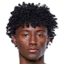 https://img.heibaitiyuy.com.cn/img/football/player/eca1d0053ef970d8a691c238c38e1893.png