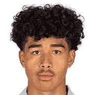 https://img.heibaitiyuy.com.cn/img/football/player/f07b040db42157ac0f5955af9744f895.png