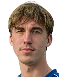 https://img.heibaitiyuy.com.cn/img/football/player/fce9c953f305f851b326863389773fd6.png