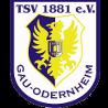 https://img.heibaitiyuy.com.cn/img/football/team/0425718c842cc1330a6507bdde3c1da4.png