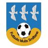 https://img.heibaitiyuy.com.cn/img/football/team/259a1106a33b56d2bb3c458a62ffa2ea.png