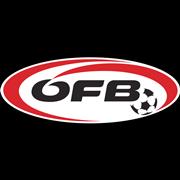 https://img.heibaitiyuy.com.cn/img/football/team/4bec753c4cc2101cd2df5a103b29eda2.png