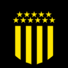 https://img.heibaitiyuy.com.cn/img/football/team/68b4fd9f62681acaf82ffd68ad2f51f2.png