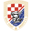 https://img.heibaitiyuy.com.cn/img/football/team/7a574e45c9437bff8e8055e992417df7.png