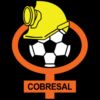https://img.heibaitiyuy.com.cn/img/football/team/a5e650365ee5c40efb649bf12015eb6d.png