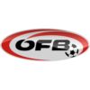 https://img.heibaitiyuy.com.cn/img/football/team/be70130b180875a576e98a5a33c8238a.png